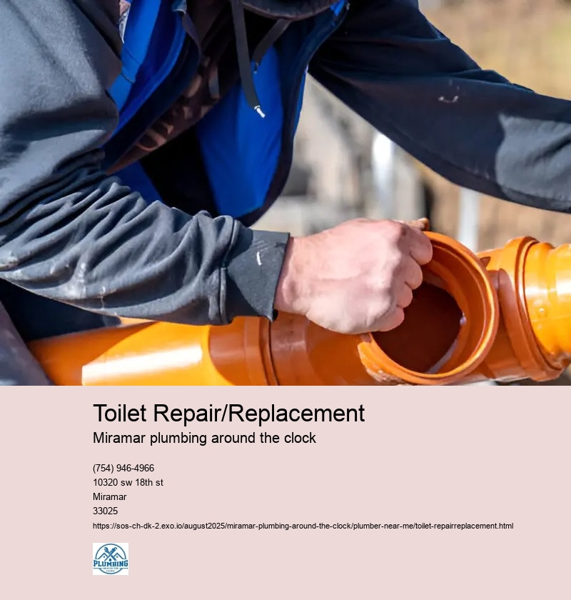 Toilet Repair/Replacement