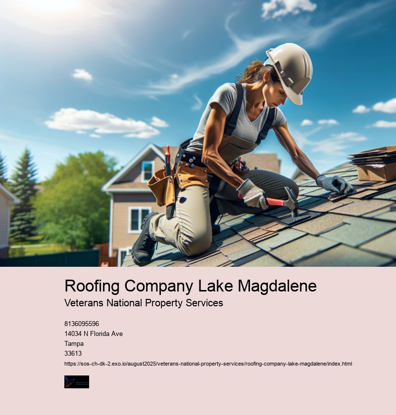 Roofing Company Lake Magdalene