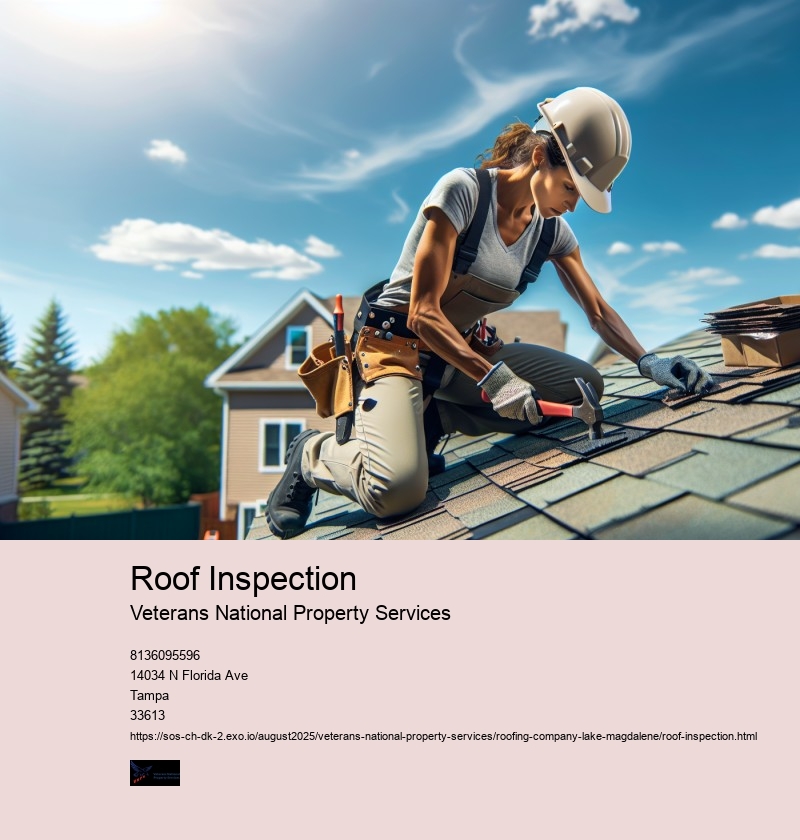 Roof Inspection
