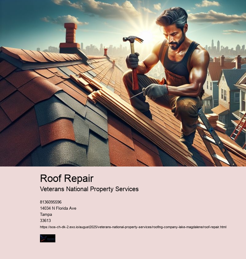 Roof Repair
