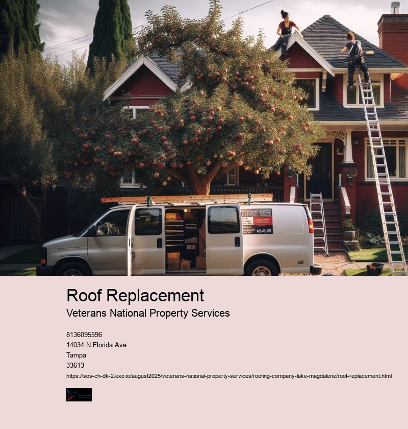 Roof Replacement