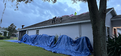 Lake Magdalene Roofing Project Examples/Case Studies