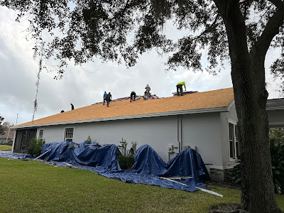 Working with a Professional Roofing Contractor