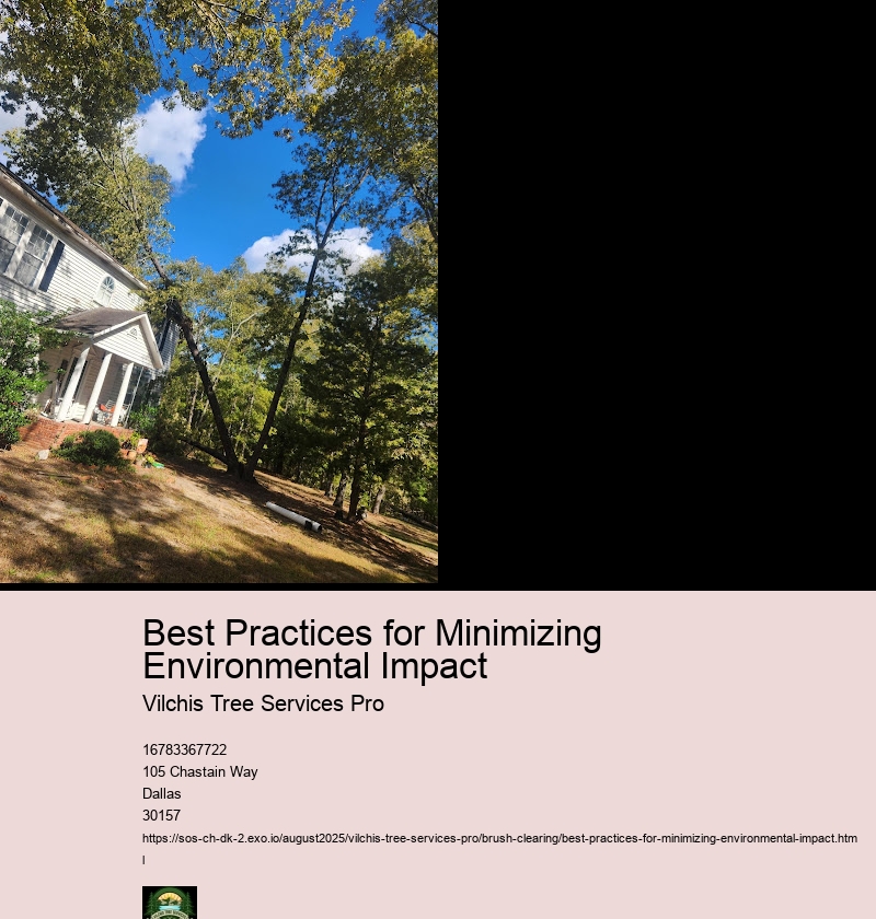 Erosion Control and Soil Stabilization Post-Clearing