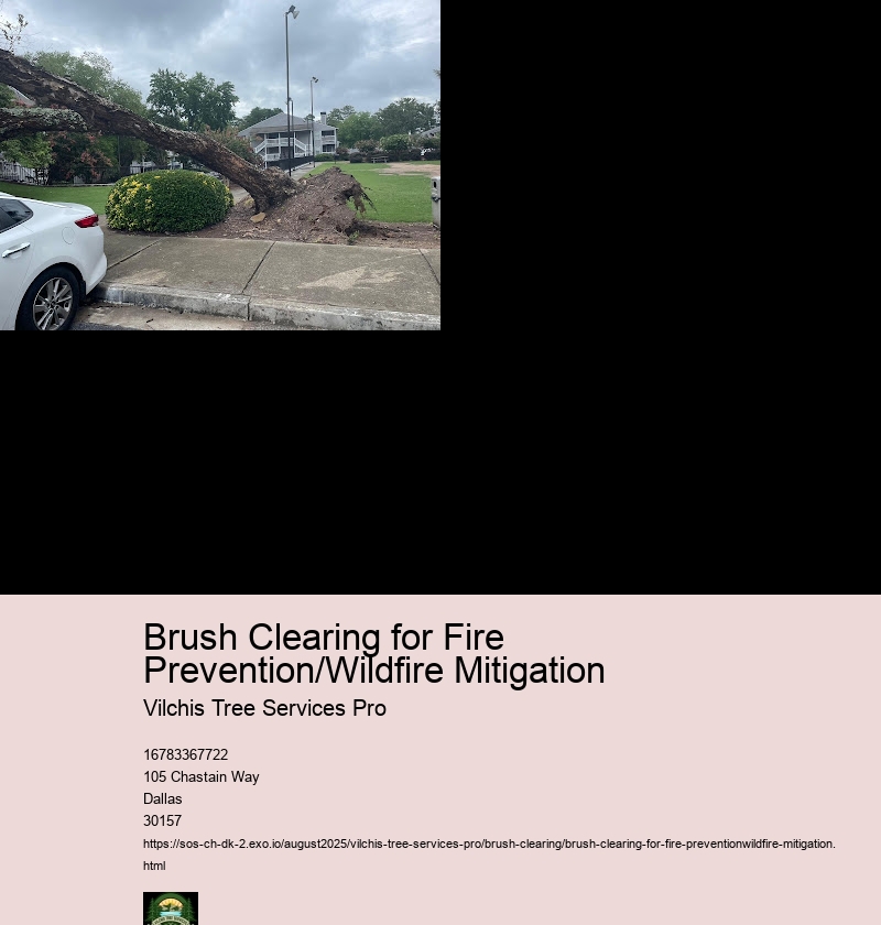 Equipment and Techniques for Effective Brush Clearing