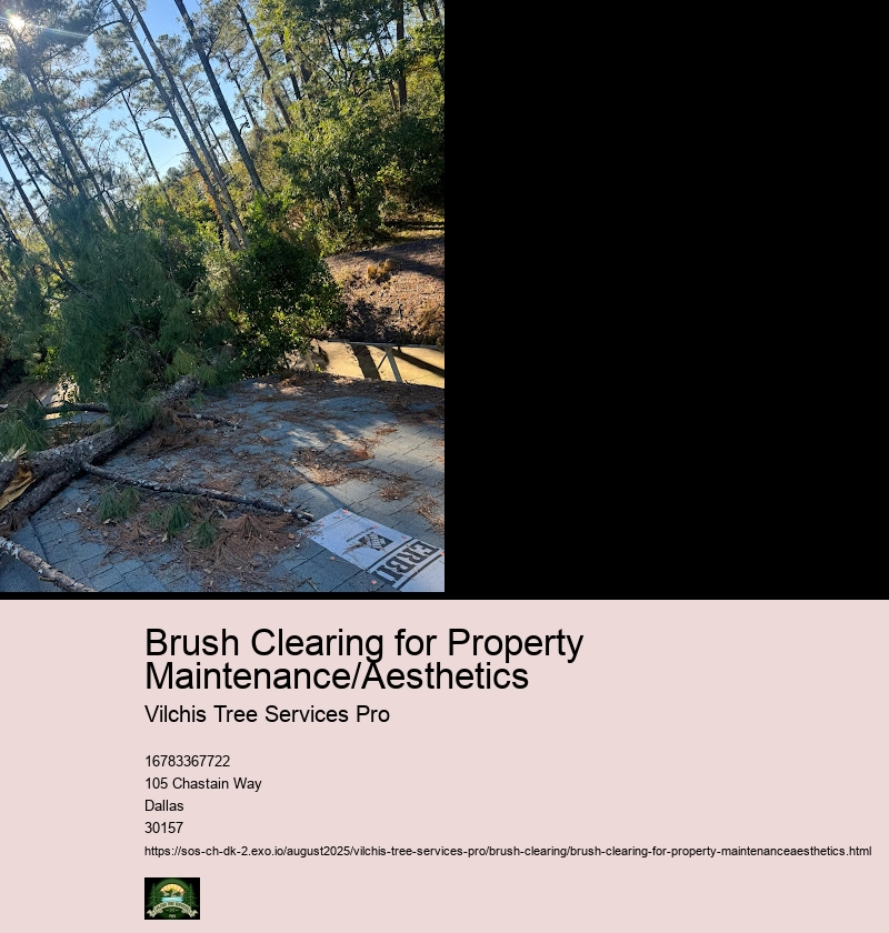 Tools and Equipment for Brush Clearing