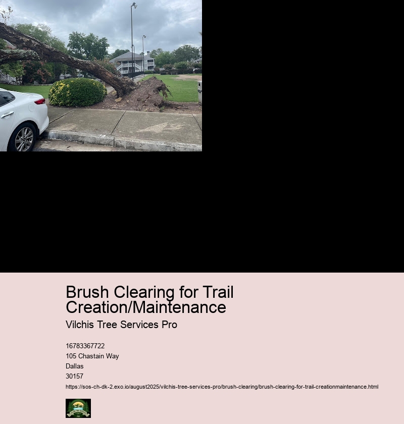 Brush Clearing Techniques for Different Trail Types