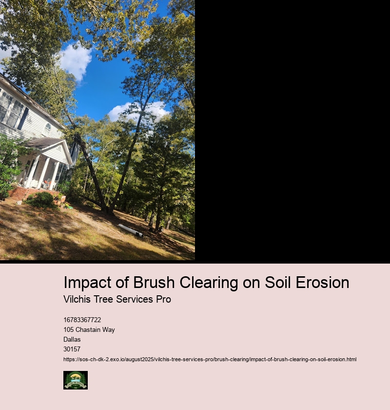 Case Studies of Brush Clearing and Erosion Impacts