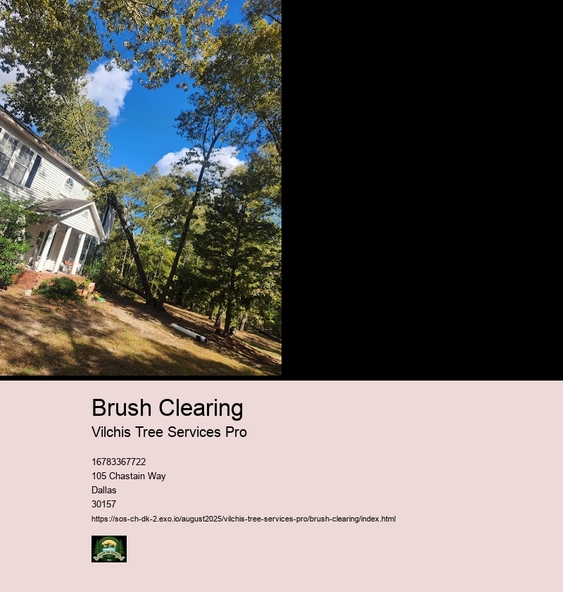 Brush Clearing Methods and Techniques