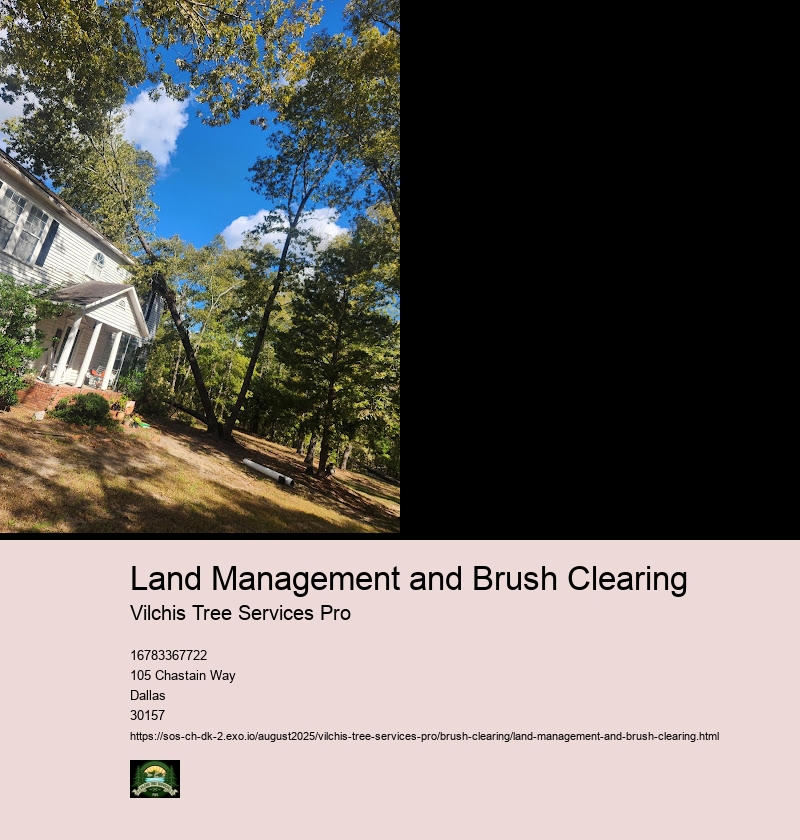 Brush Clearing Methods and Equipment
