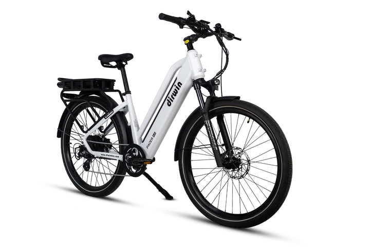 Front Cargo Electric Bikes Perfect for Pet Owners Dirwin Bike Front Cargo Electric Bikes Perfect for Pet Owners
