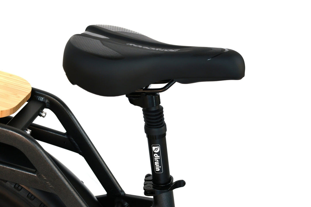 Two-Wheel Cargo Ebikes with Off-Road Performance