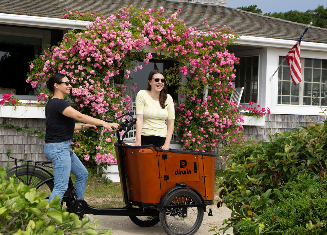 How do cargo bikes improve family mobility?