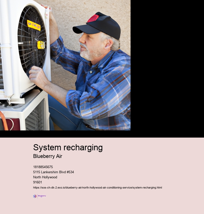System recharging