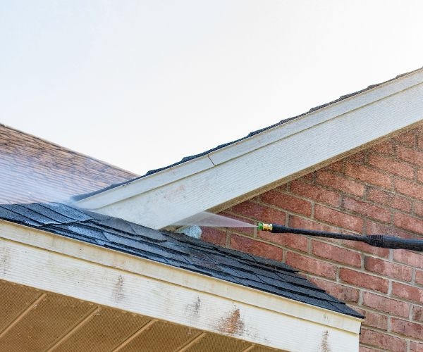 The Risks of DIY Roof Cleaning: Why to Hire Professionals