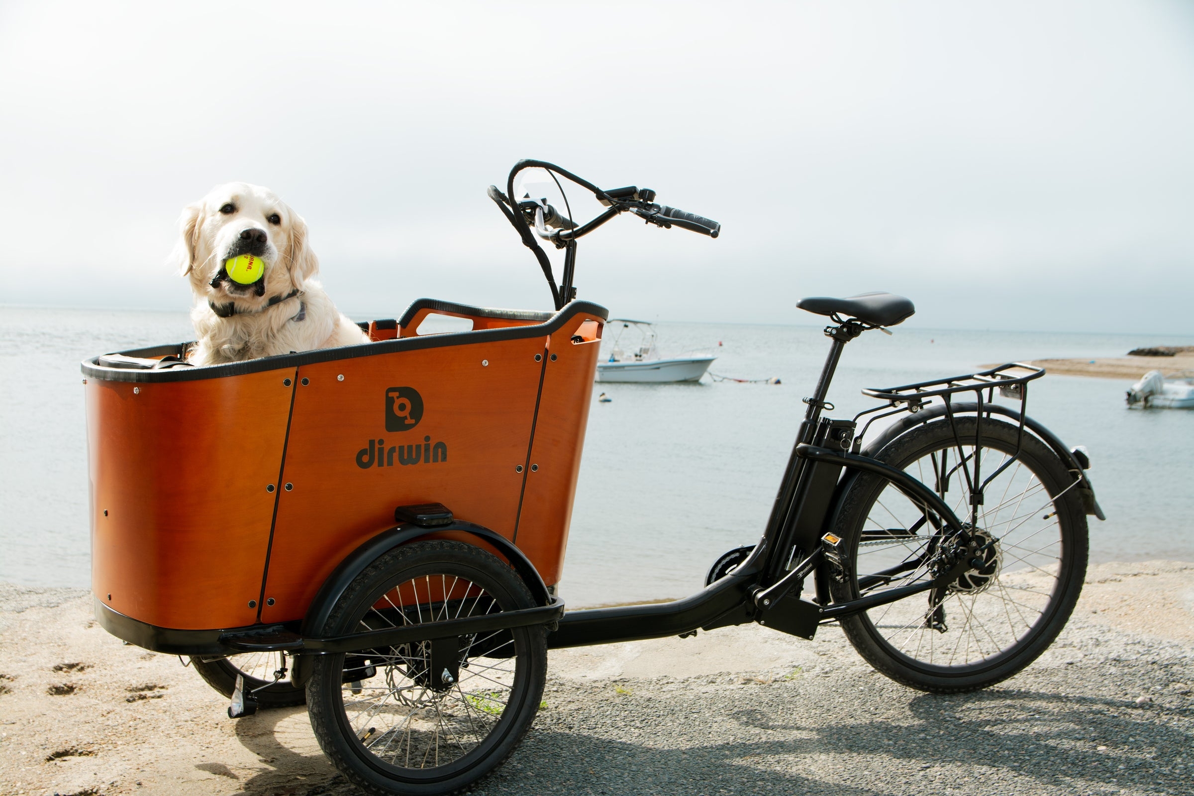 Why Electric Cargo Bikes Are the Smart Car Alternative