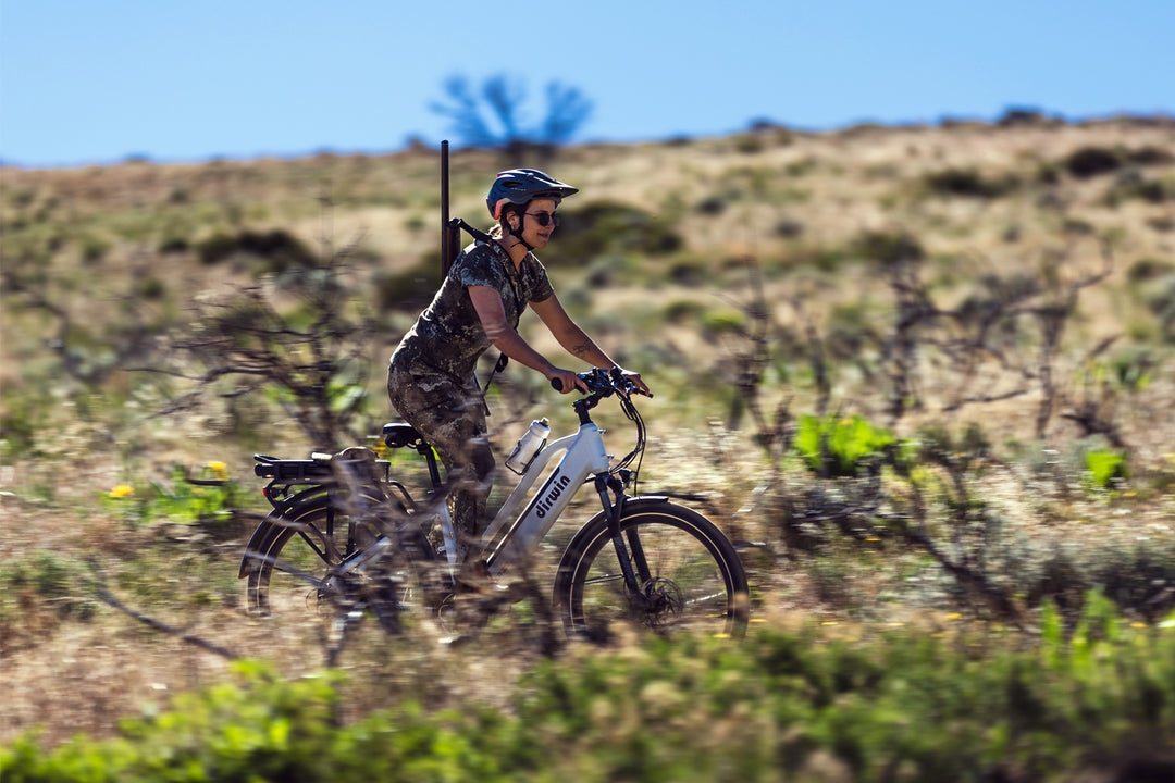 Does the Pioneer Plus come with a dual battery electric system?