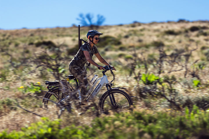 Choosing the Best Hunting eBike by Budget