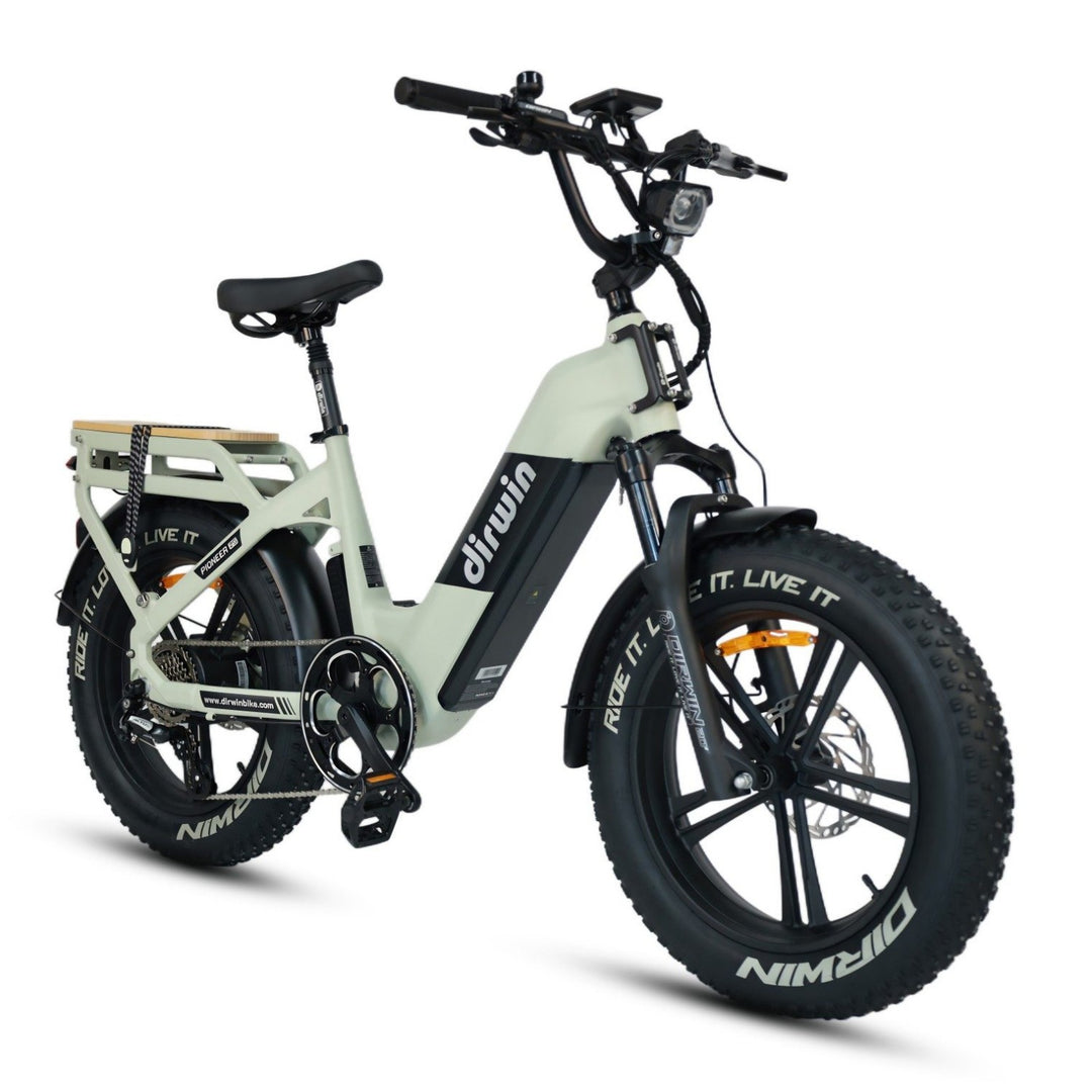 Dirwin Hunting eBikes with XL TFT Displays