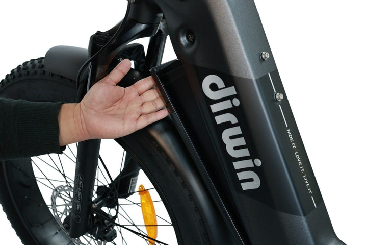 Pioneer Plus: Popular Fat Tire eBike