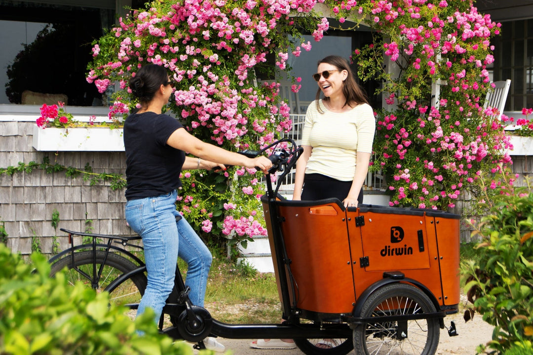 Pioneer Lite Budget-Friendly Hunting eBike