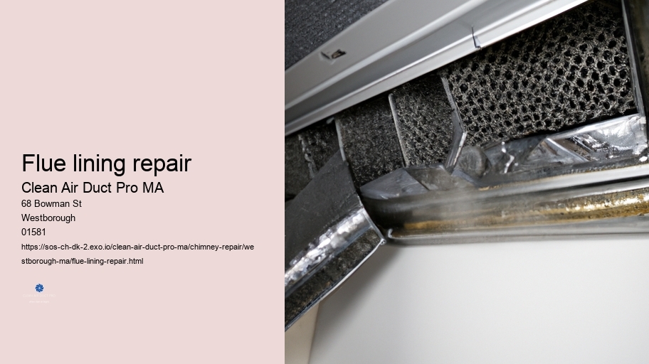 Flue lining repair