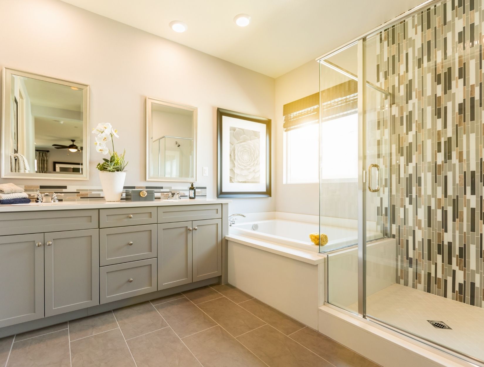 Professional Solutions for Cleaner Living