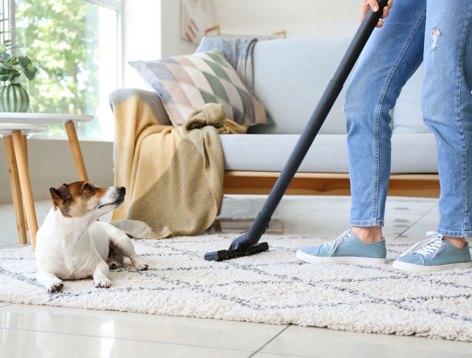 How to Find Reliable House Cleaners Near You