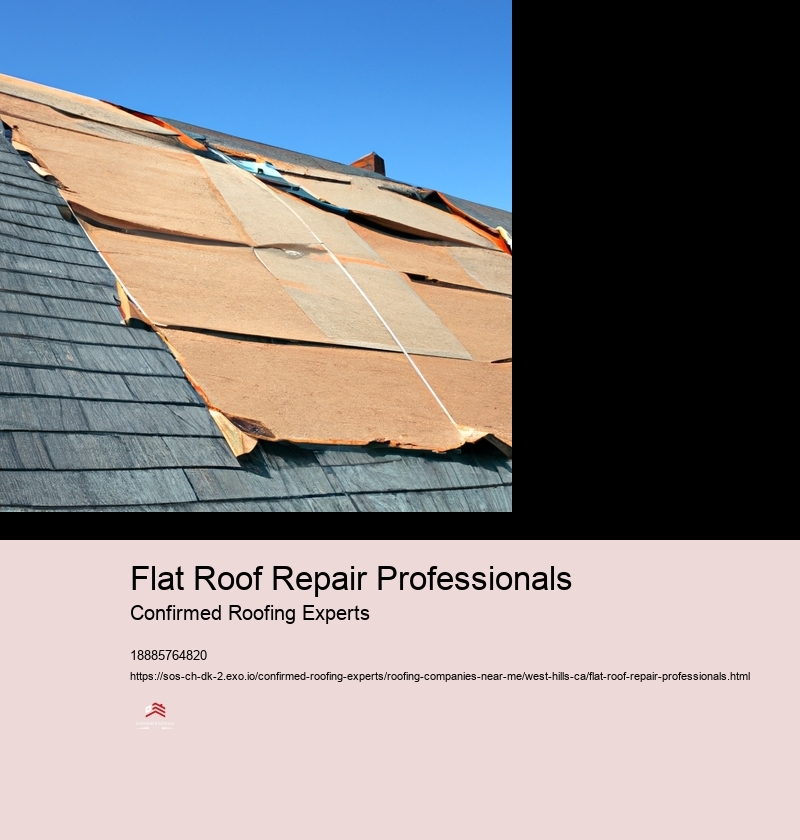 Flat Roof Repair Professionals