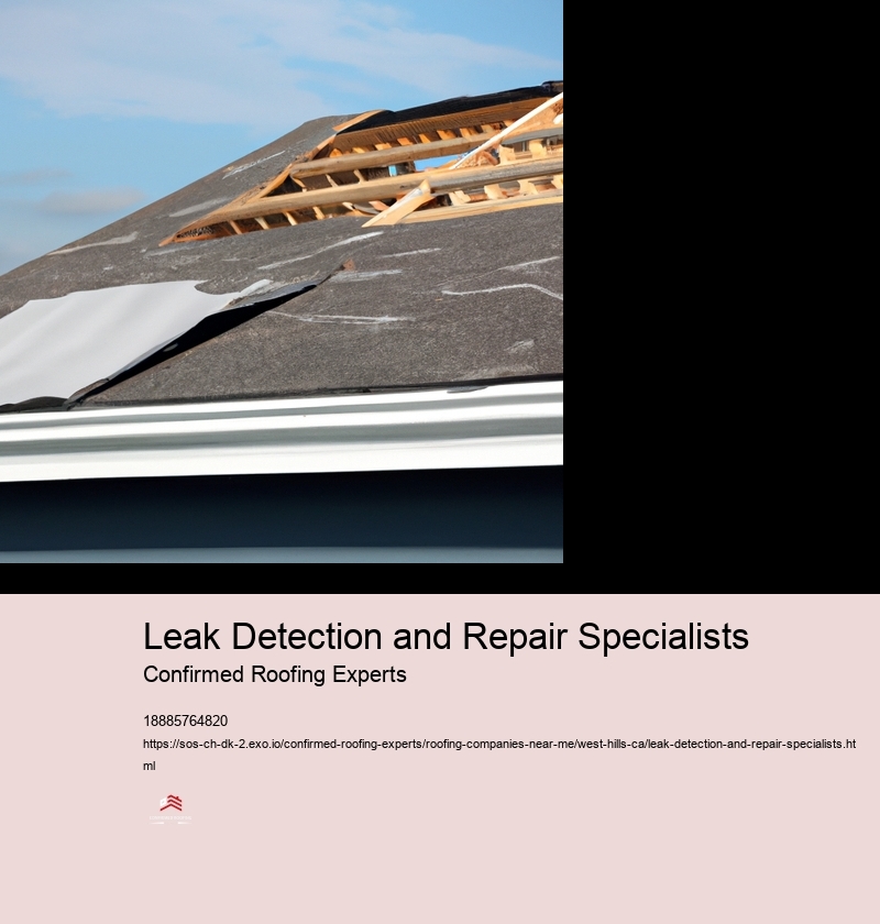 Leak Detection and Repair Specialists