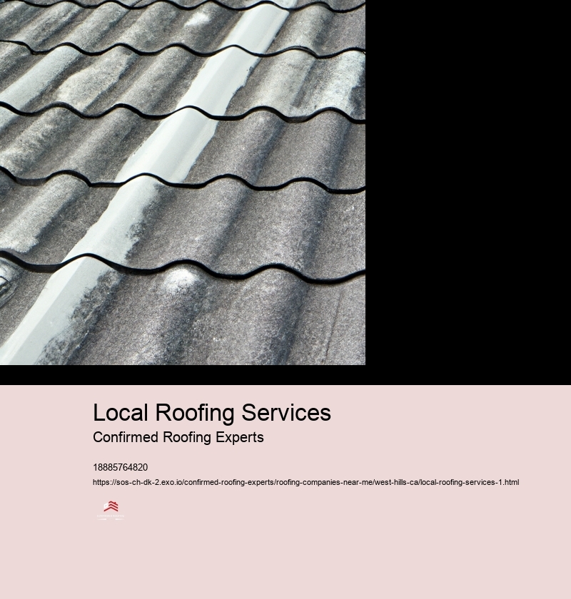 Local Roofing Services