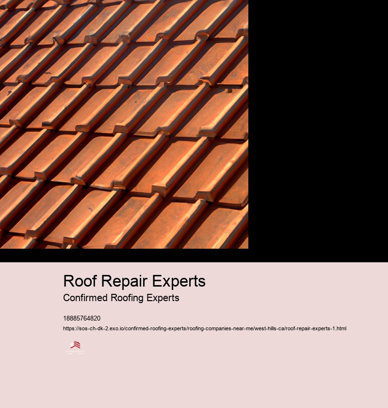 Roof Repair Experts