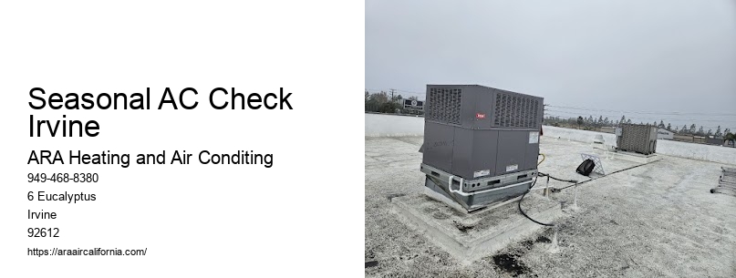 Seasonal AC Check Irvine