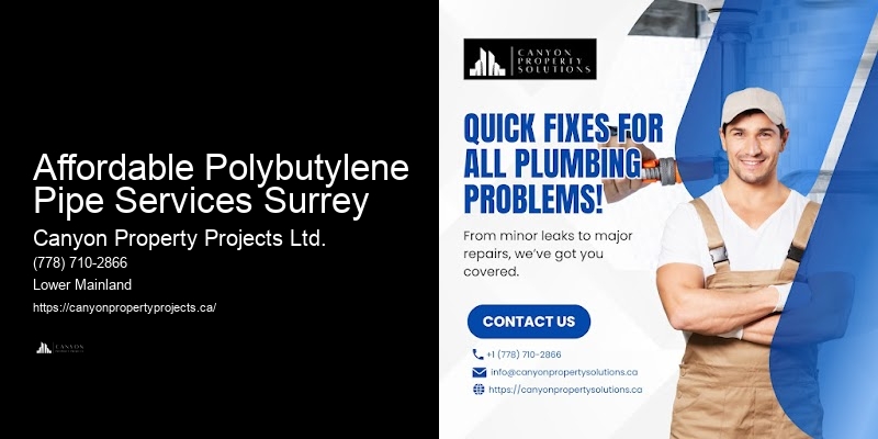 Affordable Polybutylene Pipe Services Surrey
