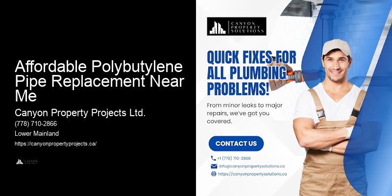 Polybutylene Plumbing Costs Affordable Polybutylene Pipe Replacement Near Me