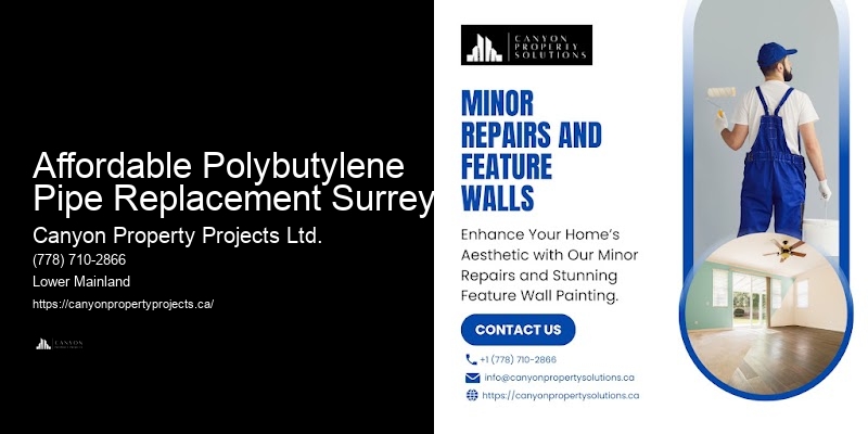 Affordable Options for Polybutylene Replacement Affordable Polybutylene Pipe Replacement Surrey