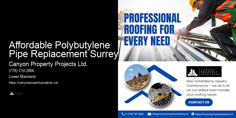 Polybutylene Pipe Replacement Consultation Affordable Polybutylene Pipe Replacement Surrey