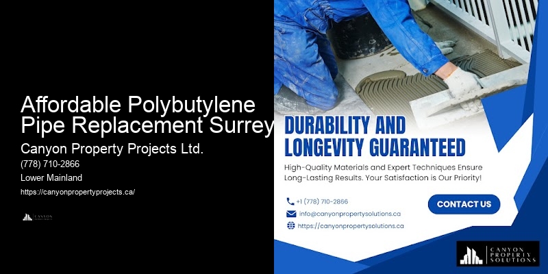 Trusted Polybutylene Pipe Replacement Company Affordable Polybutylene Pipe Replacement Surrey
