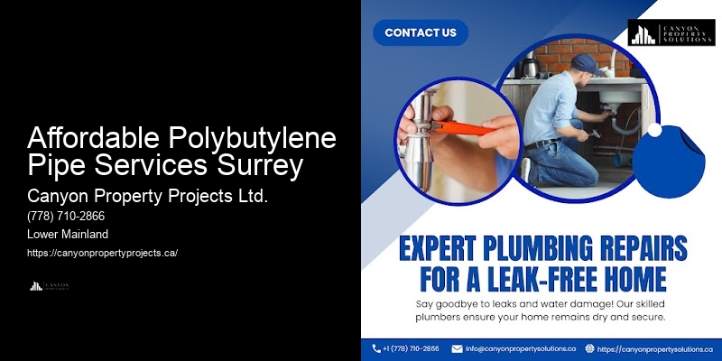 Certified Polybutylene Pipe Replacement Affordable Polybutylene Pipe Services Surrey