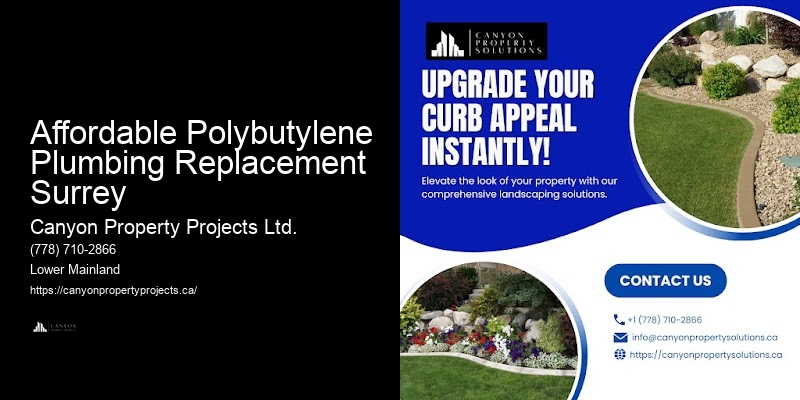 Polybutylene Pipe Replacement for Homes Affordable Polybutylene Plumbing Replacement Surrey