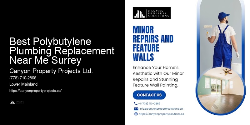 Experienced Polybutylene Plumbers Best Polybutylene Plumbing Replacement Near Me Surrey