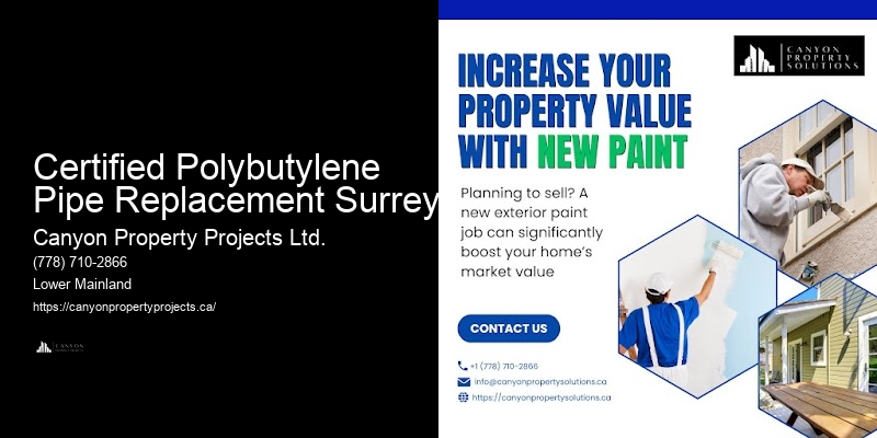 Polybutylene Plumbing Pipe Services Certified Polybutylene Pipe Replacement Surrey