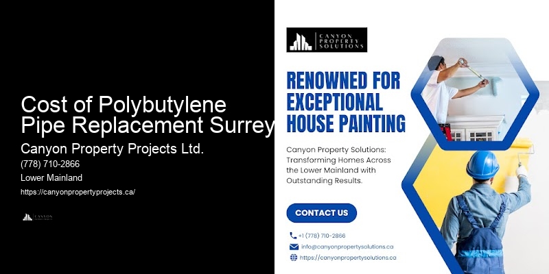 Experienced Polybutylene Pipe Contractors Cost of Polybutylene Pipe Replacement Surrey
