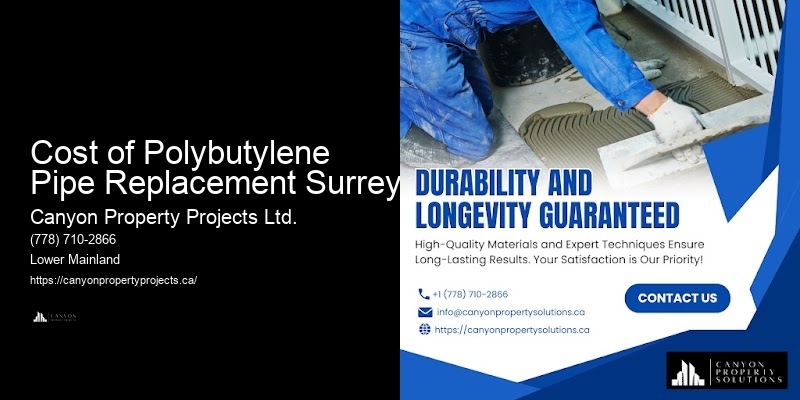 Polybutylene Pipe Warranty Services Cost of Polybutylene Pipe Replacement Surrey