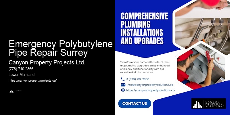 Polybutylene Pipe Replacement Cost Guide Emergency Polybutylene Pipe Repair Surrey