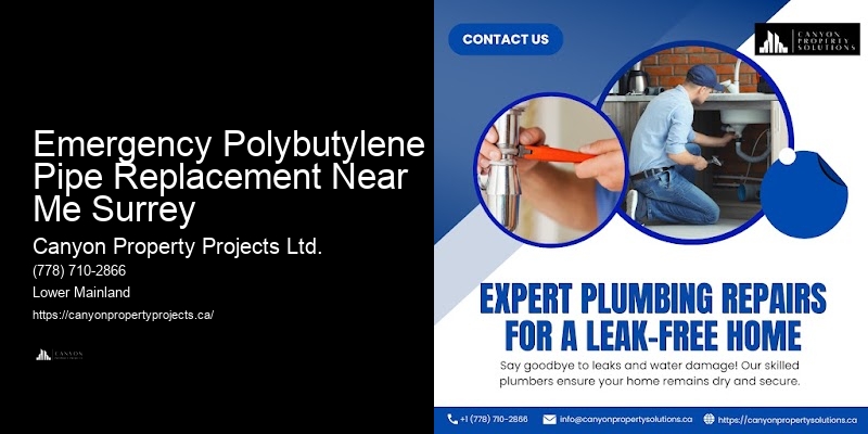 Emergency Polybutylene Pipe Replacement Near Me Surrey Certified Plumbers for Polybutylene
