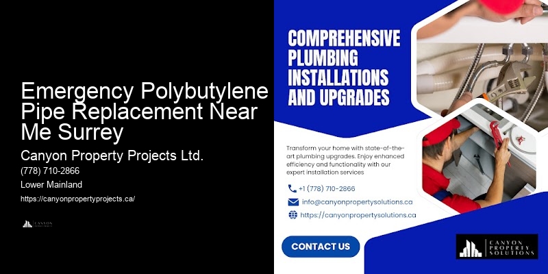 Commercial Polybutylene Pipe Replacement Near Me