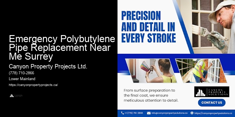 Top Choice for Polybutylene Pipe Replacement Emergency Polybutylene Pipe Replacement Near Me Surrey