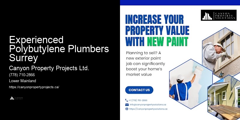 Polybutylene Pipe Service Near Me Experienced Polybutylene Plumbers Surrey