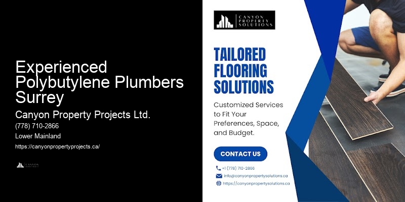 Expert Polybutylene Plumbing Replacement Services in Experienced Polybutylene Plumbers Surrey